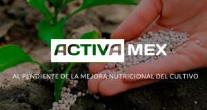 Lee más sobre el artículo Fertilizantes ACTIVAMEX