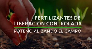 Lee más sobre el artículo Beneficios de usar fertilizantes de Liberacion Controlada