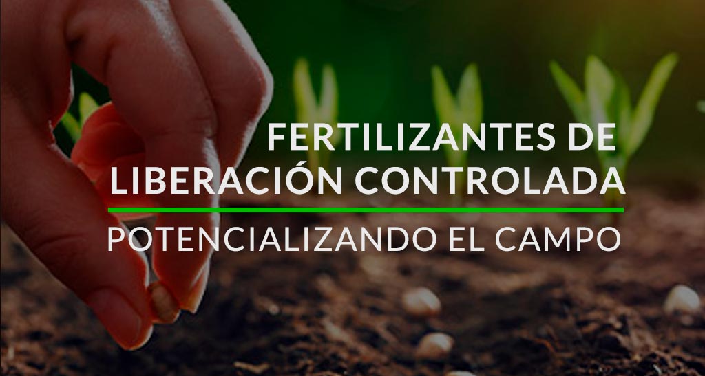 En este momento estás viendo Beneficios de usar fertilizantes de Liberacion Controlada